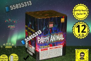 احتفالات سبتمبر تتألق: تشكيلة واسعة من الألعاب النارية والجراغيات