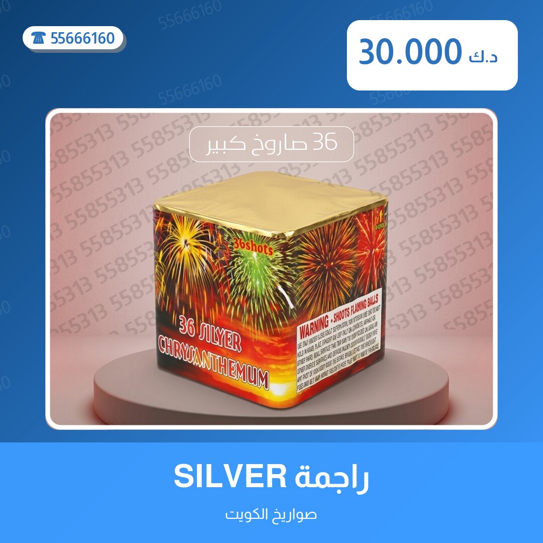 راجمة SILVER سعر 30.000 دينار كويتي من صواريخ الكويت