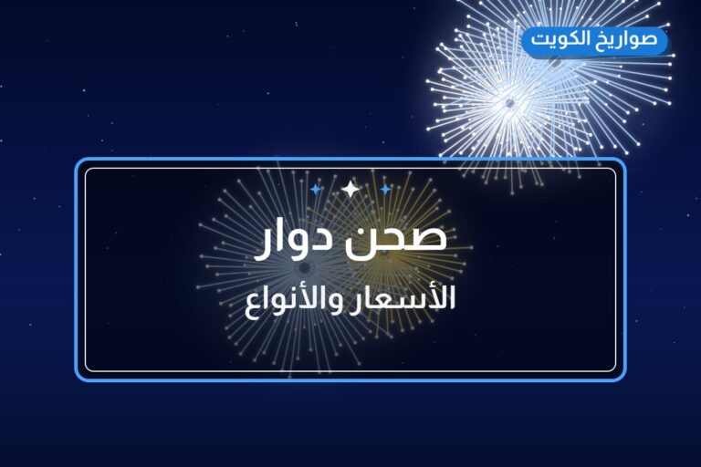 دليل صحن دوار: كل ما تحتاج معرفته قبل الطلب